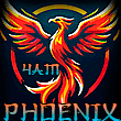 Чат Phoenix